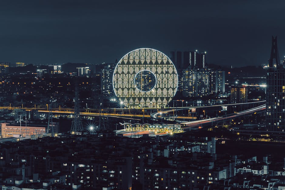 홍대 버스 킹 신청