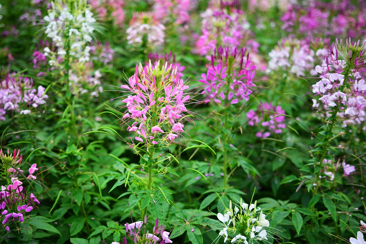 서울 개명 신청 법원 송파구